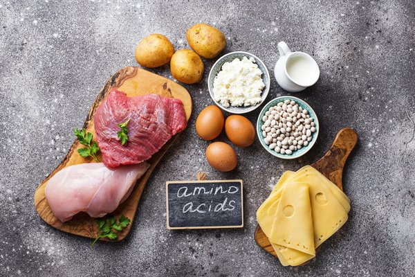 Un regard approfondi sur les acides aminés et leur impact sur la santé