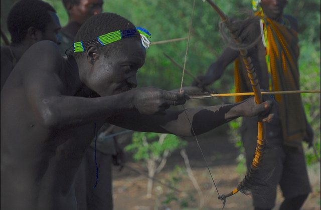 La chasse à l’arc : une expérience unique pour les chasseurs traditionnels